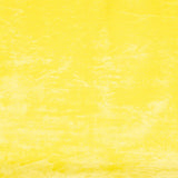 Pelo Corto Amarillo Pollito - Ribes y Casals