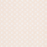 Piqué Canutillo Golondrina Camel - Ribes y Casals