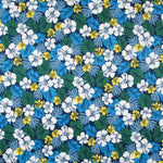 Plana Pacific Blue - Ribes y Casals