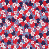 Plana Spandex Pacific Roja - Ribes y Casals