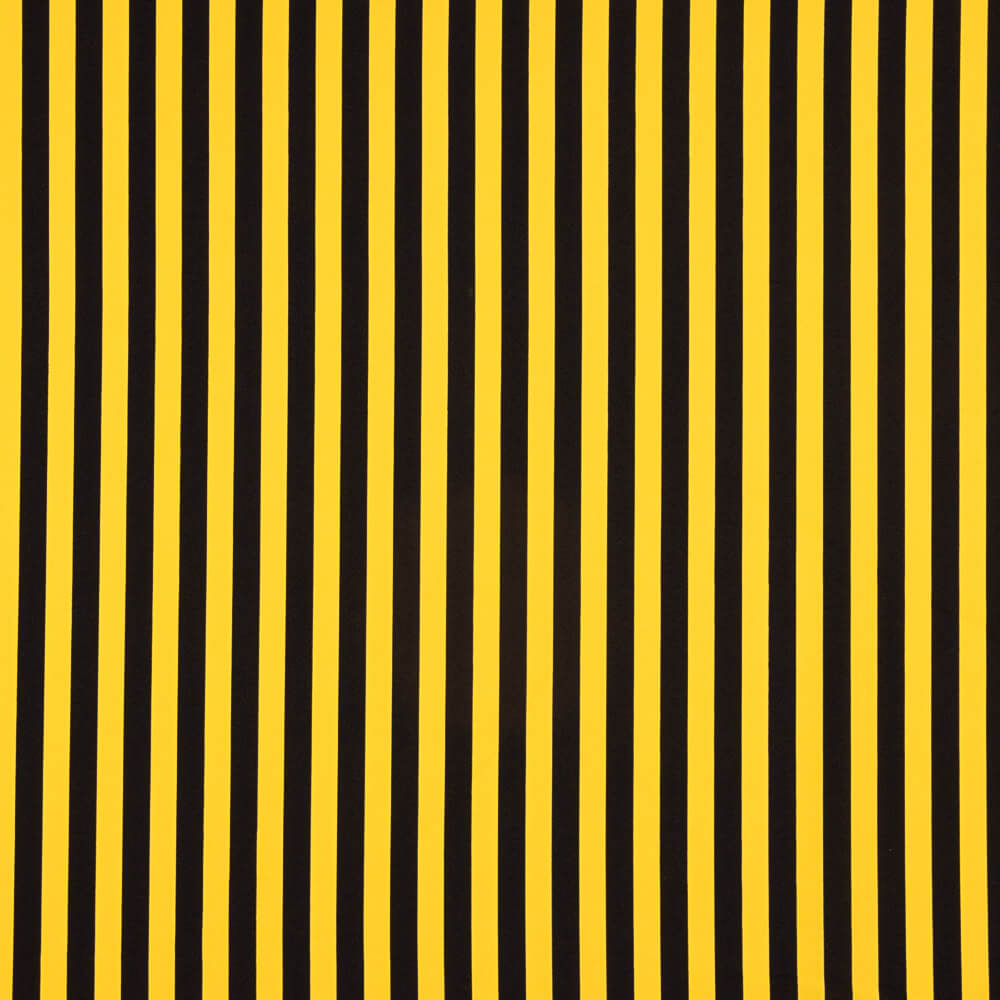 Plana Poliéster Bicolor Amarillo-Negro - Ribes y Casals