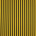 Plana Poliéster Bicolor Amarillo-Negro - Ribes y Casals