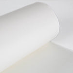 Plástico Protector Mate - Ribes y Casals