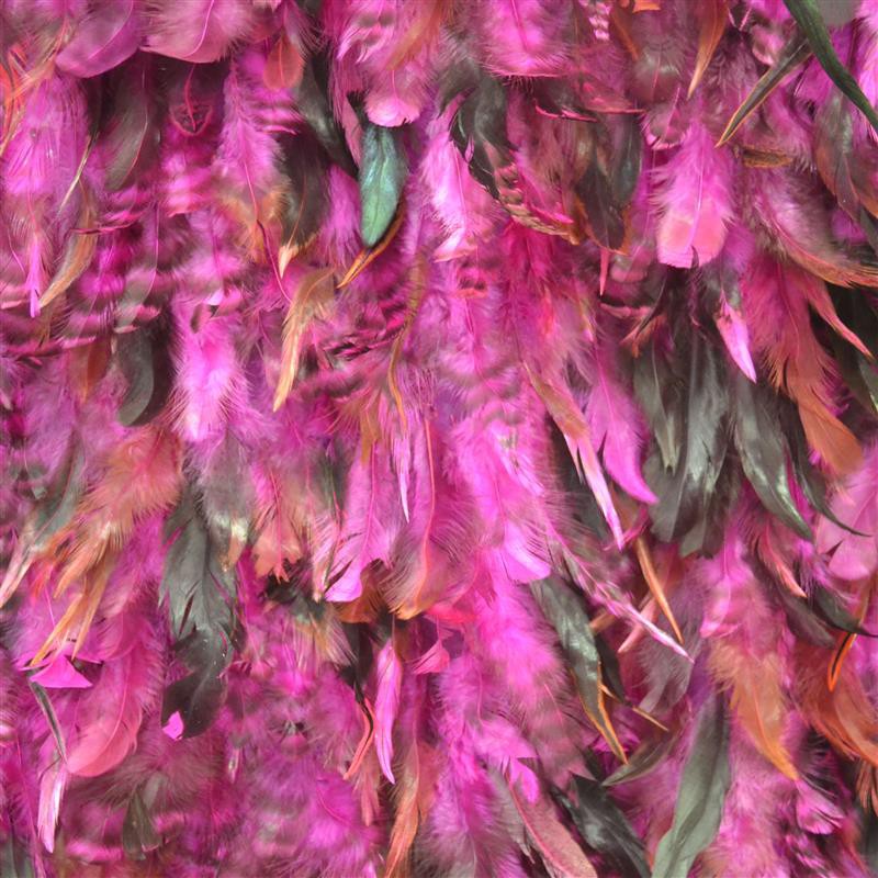 Plumas Fucsia - Ribes y Casals