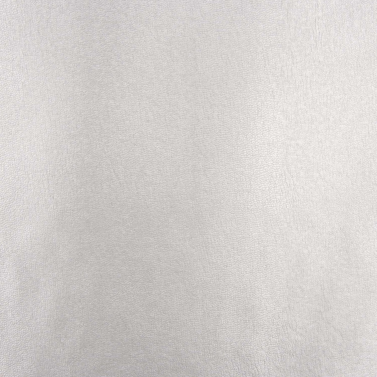 Polipiel Basic Plata - Ribes y Casals