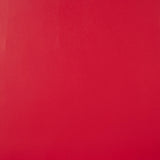 Polipiel Basic Rojo - Ribes y Casals