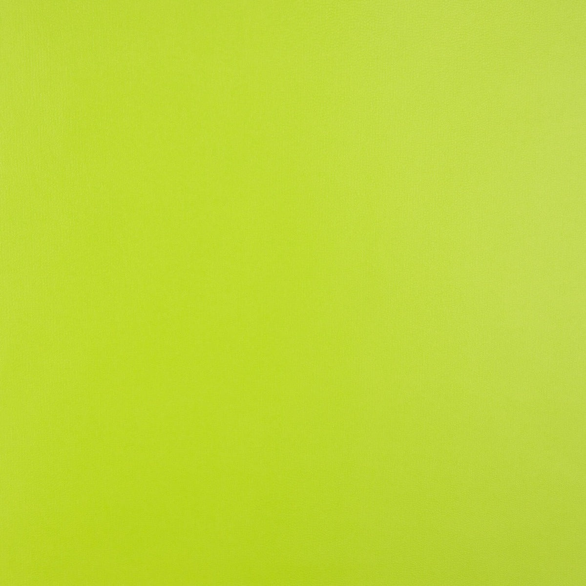 Polipiel Basic Verde - Ribes y Casals