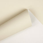 Polipiel Náutica Arena - Ribes y Casals