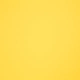 Polipiel Tapicería Amarilla - Ribes y Casals