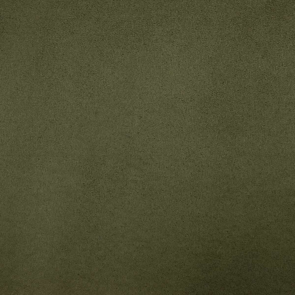 Ante Verde con Reverso Borreguito - Ribes y Casals