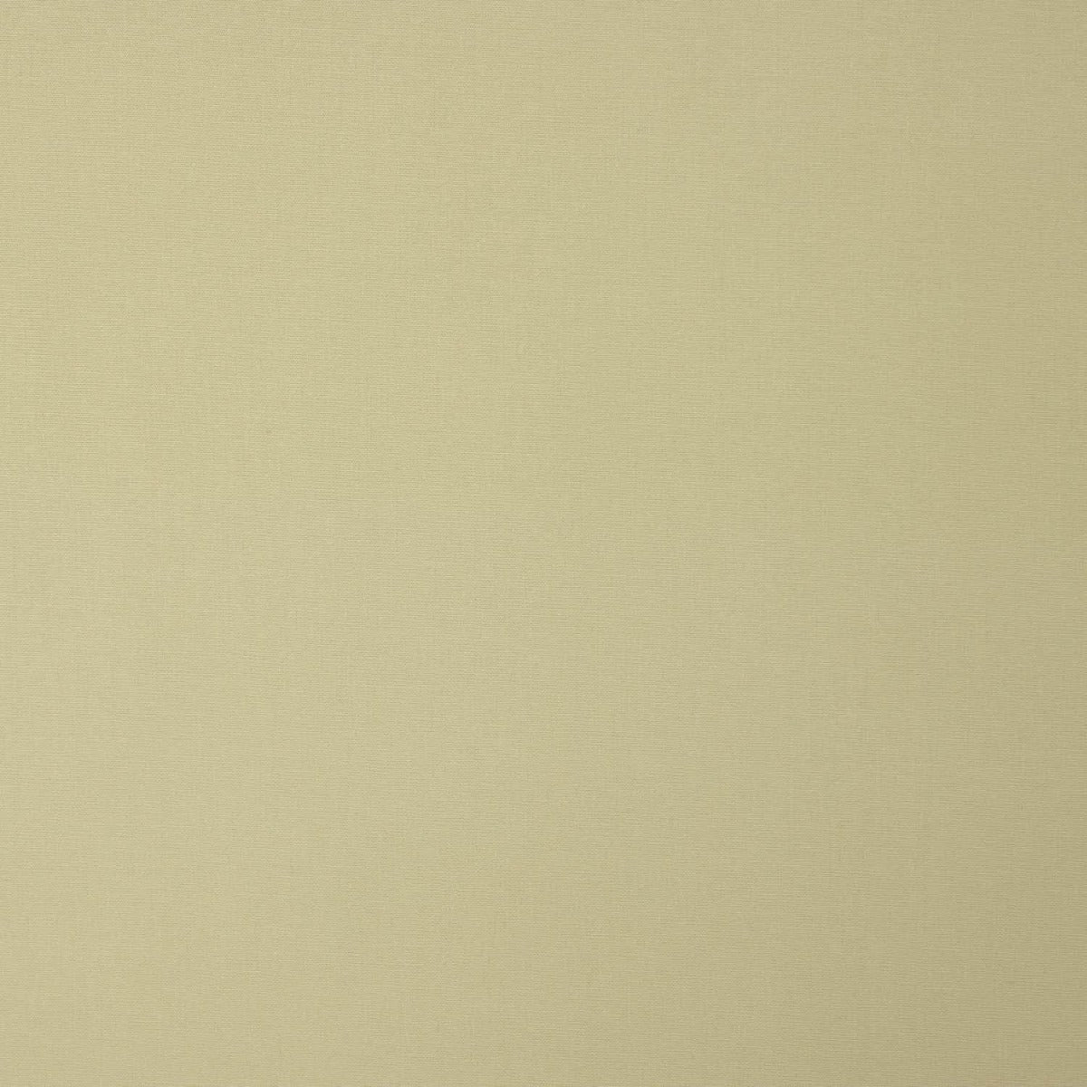 Popelín Algodón Beige Oscuro - Ribes y Casals