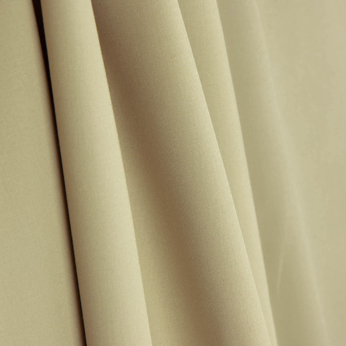 Popelín Algodón Beige Oscuro - Ribes y Casals