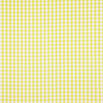 Popelín Algodón Orgánico Infantil Maxi Cuadro Lima - Ribes y Casals