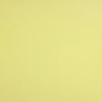 Popelín Algodón Orgánico Infantil Mini Raya Lima - Ribes y Casals