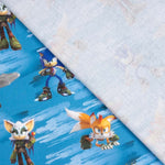 Popelín Sonic Friends - Ribes y Casals