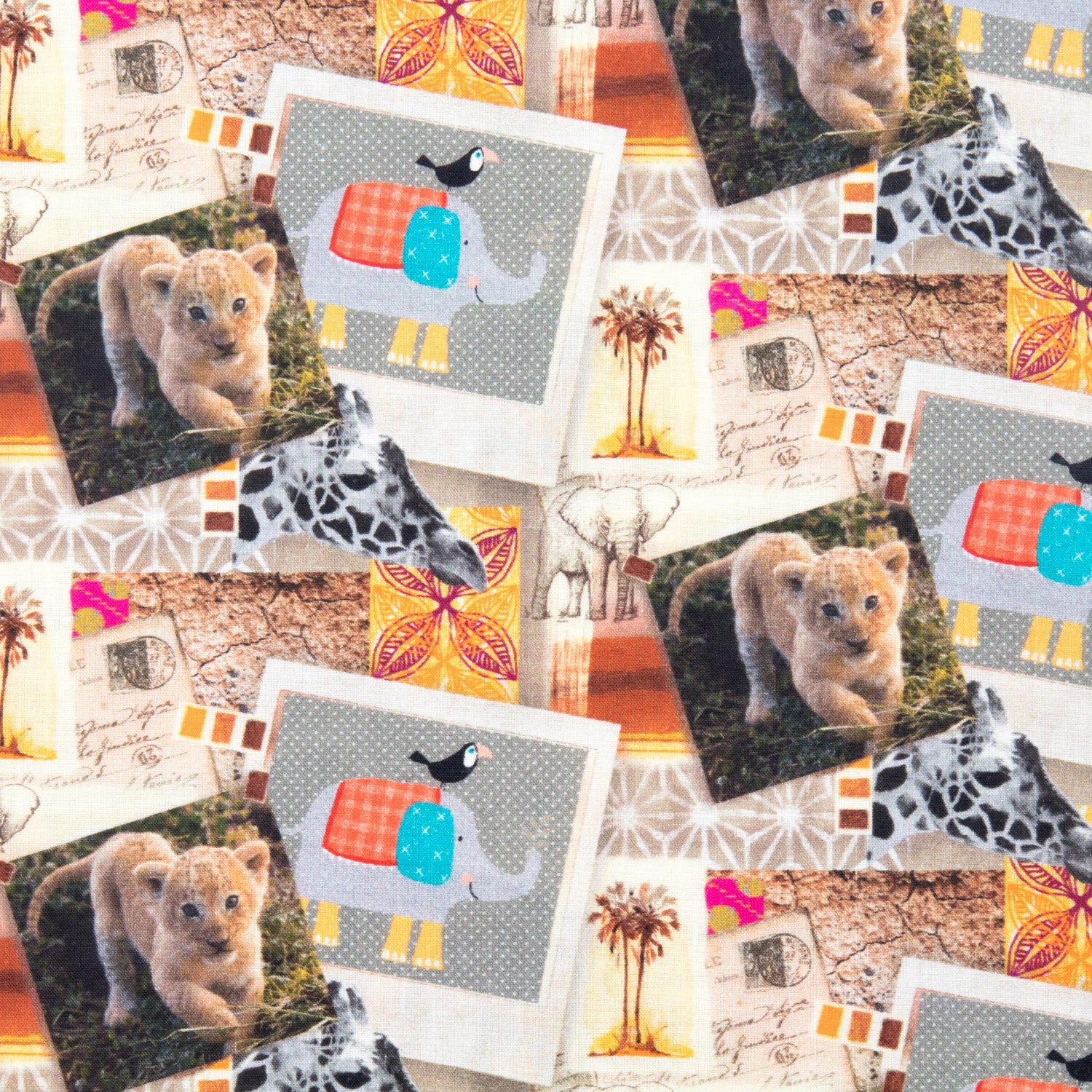 Popelín Algodón Zoologic - Ribes y Casals