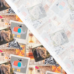 Popelín Algodón Zoologic - Ribes y Casals