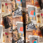 Popelín Algodón Zoologic - Ribes y Casals