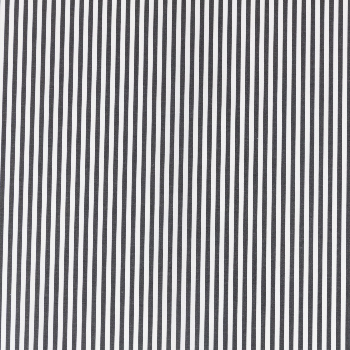 Popelín Camisa Marinera Negra - Ribes y Casals