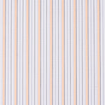 Popelín Camisa Rayas Doré - Ribes y Casals