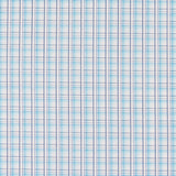 Popelín Camisa Trazos Turquesa - Ribes y Casals