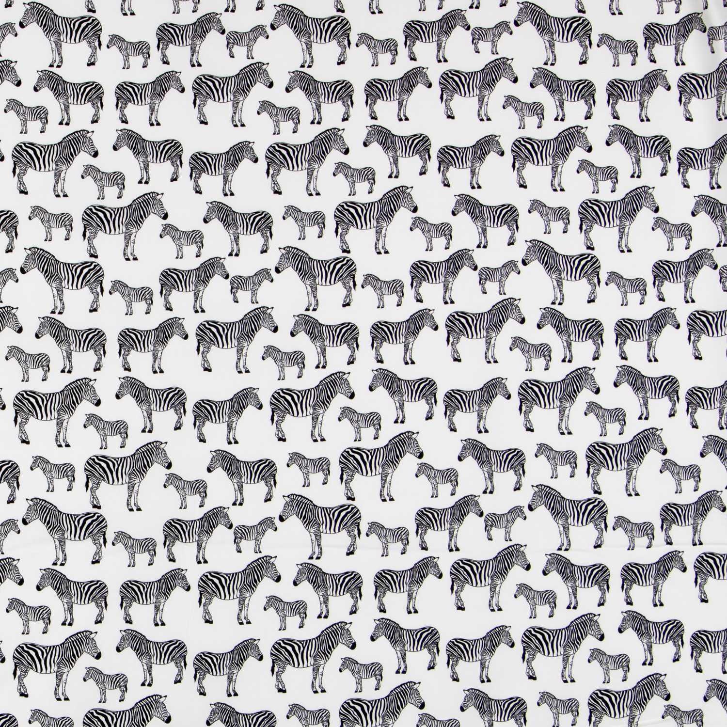 Popelín Cebras Cruda - Ribes y Casals