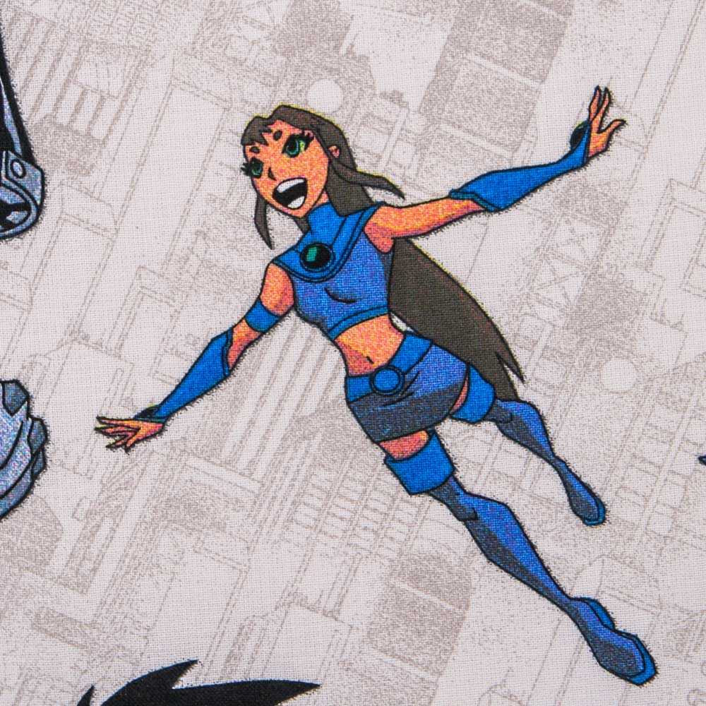 Popelín DC Comics Robin - Ribes y Casals