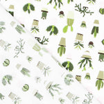 Popelin Estampado Cactus - Ribes y Casals