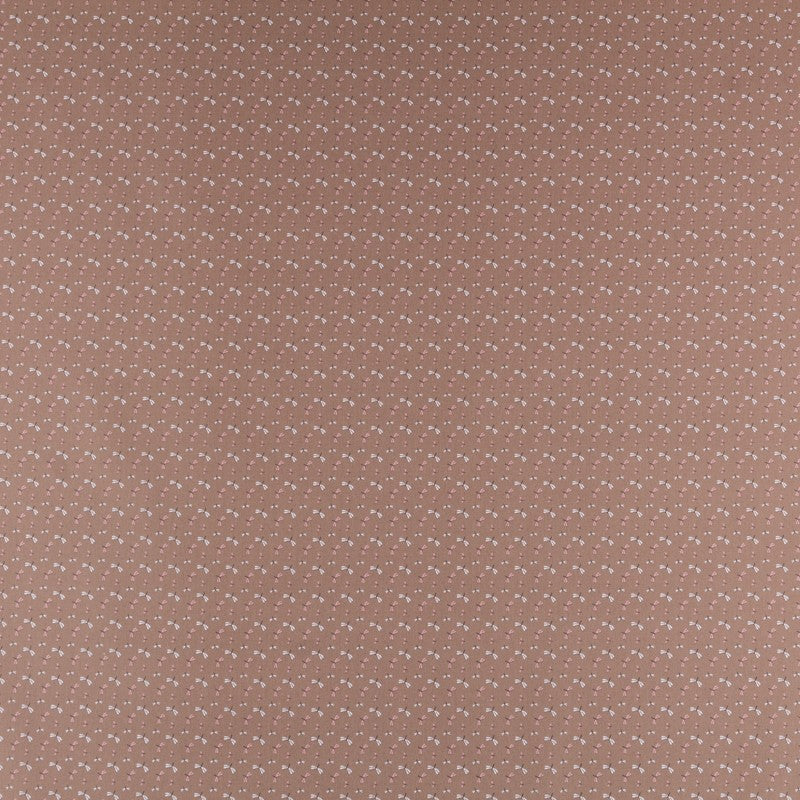 Popelín Infantil Libélula Marrón - Ribes y Casals