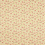 Popelín Algodón Roxana Beige - Ribes y Casals