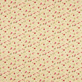 Popelín Algodón Roxana Beige - Ribes y Casals