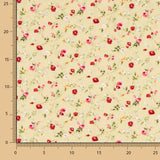 Popelín Algodón Roxana Beige - Ribes y Casals