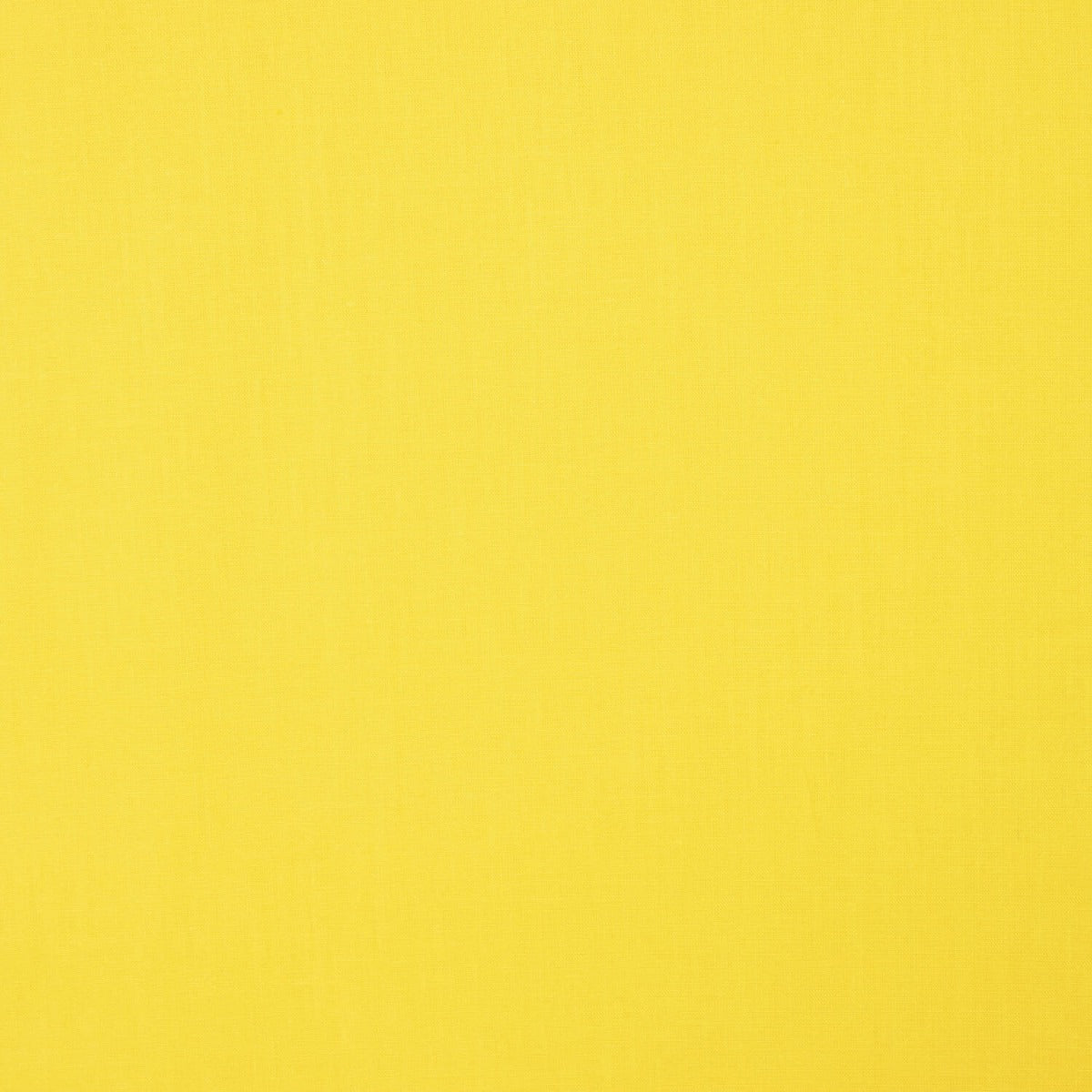 Popelín Basic Algodón Amarillo Intenso - Ribes y Casals
