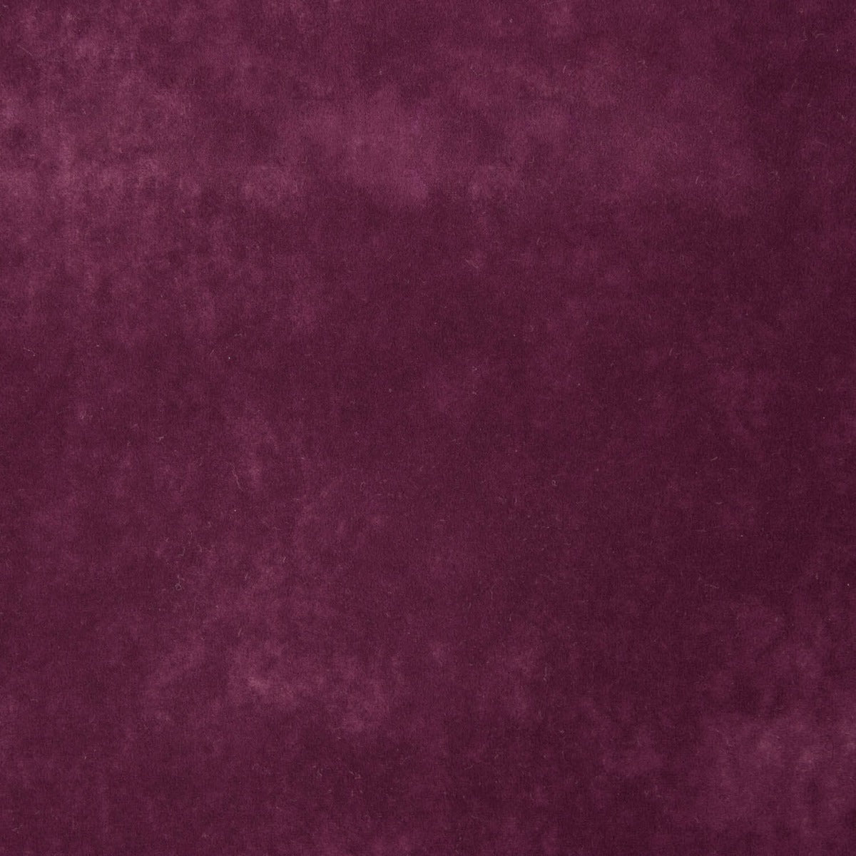 Tapicería Pretenciosa Anti Gatos Borgoña - Ribes y Casals