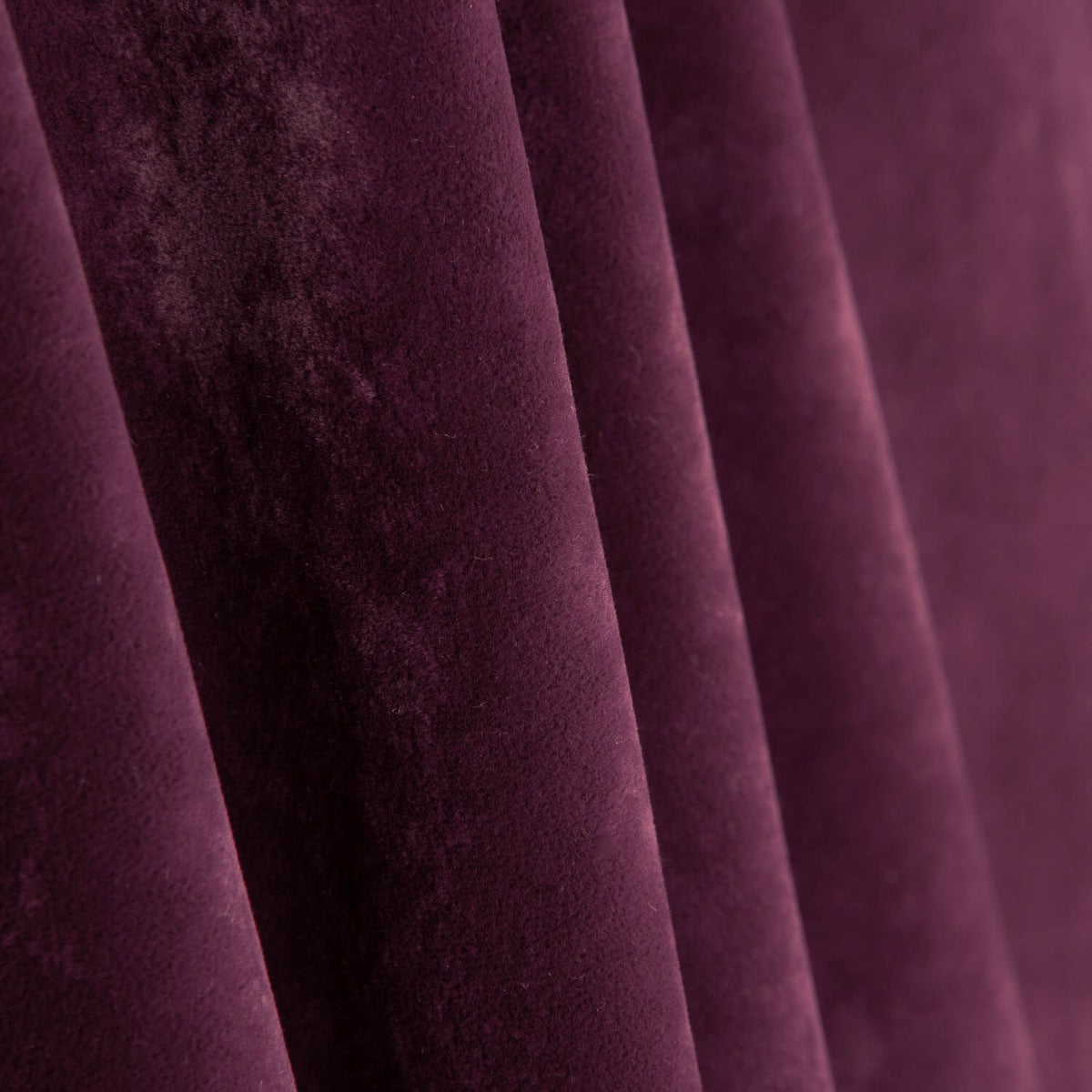 Tapicería Pretenciosa Anti Gatos Borgoña - Ribes y Casals