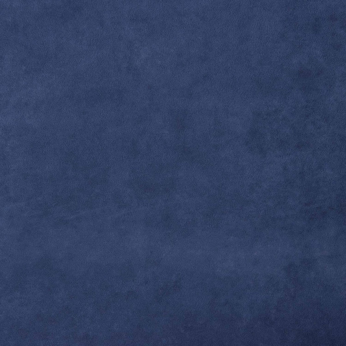 Tapicería Pretenciosa Anti Gatos Azul Denim Oscuro - Ribes y Casals