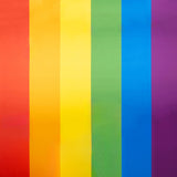 Bandera Orgullo Arcoiris Brillante - Ribes y Casals