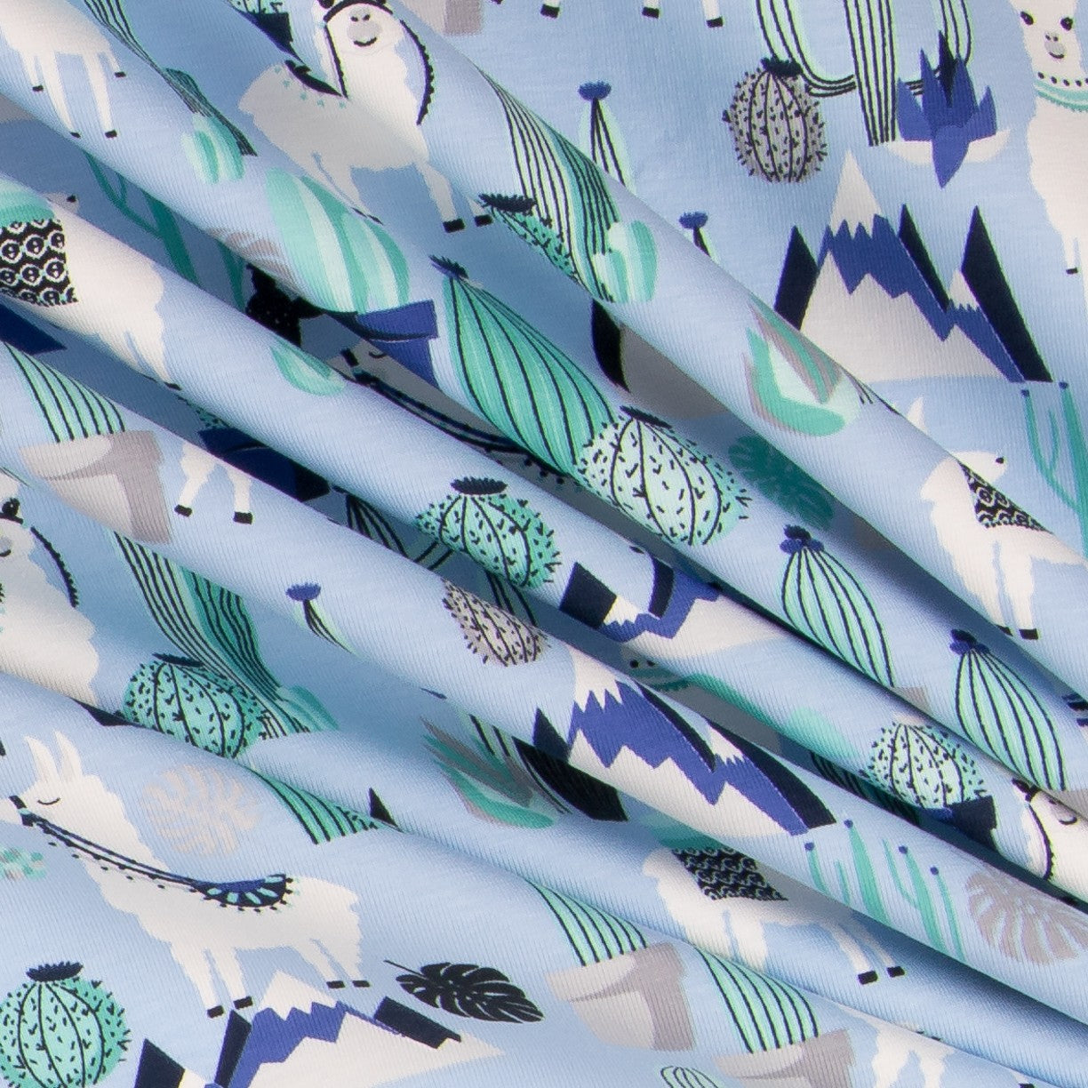 Punto Camiseta Cactus Azul - Ribes y Casals