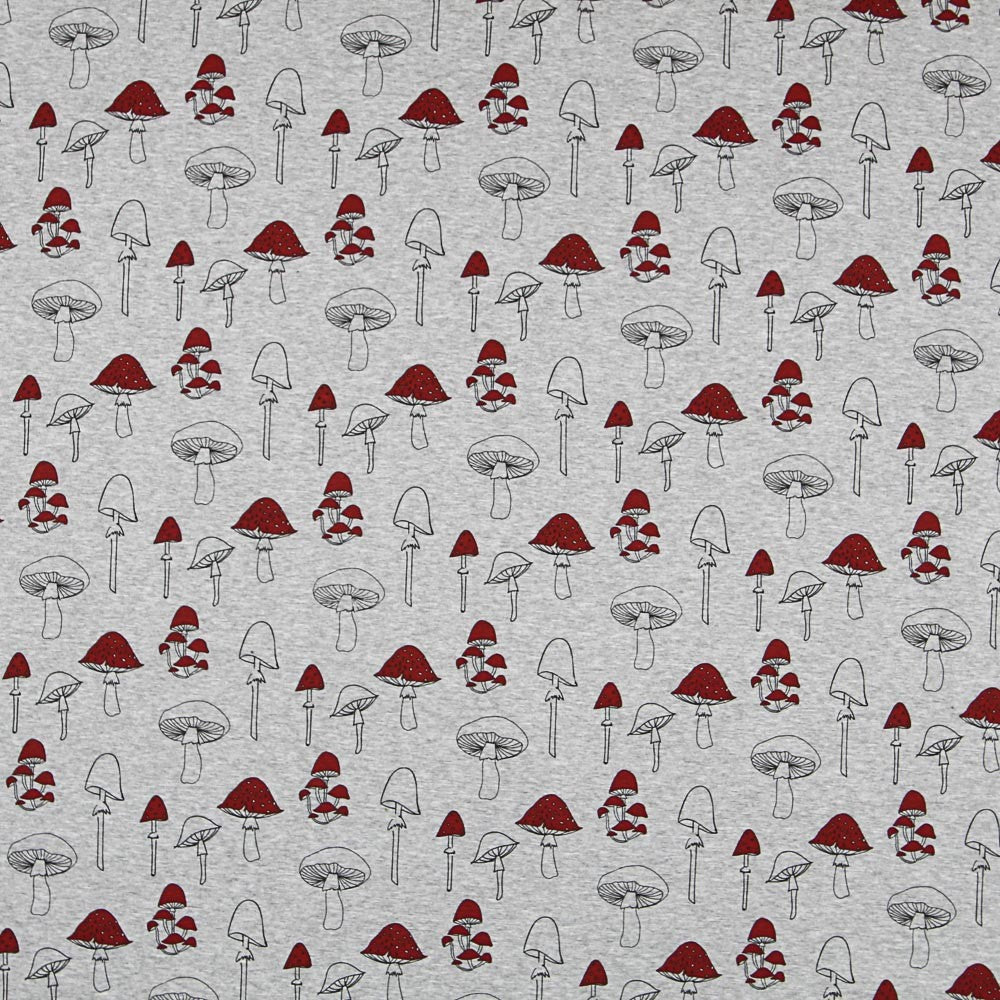 Punto Coralina Setas - Ribes y Casals