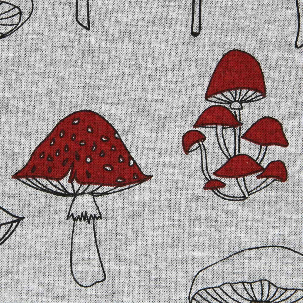 Punto Coralina Setas - Ribes y Casals