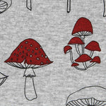 Punto Coralina Setas - Ribes y Casals