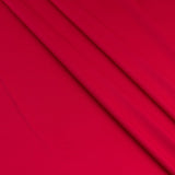 Punto de Seda Rojo - Ribes y Casals