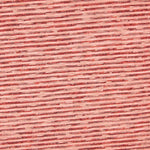 Punto Jersey Nude Coral - Ribes y Casals