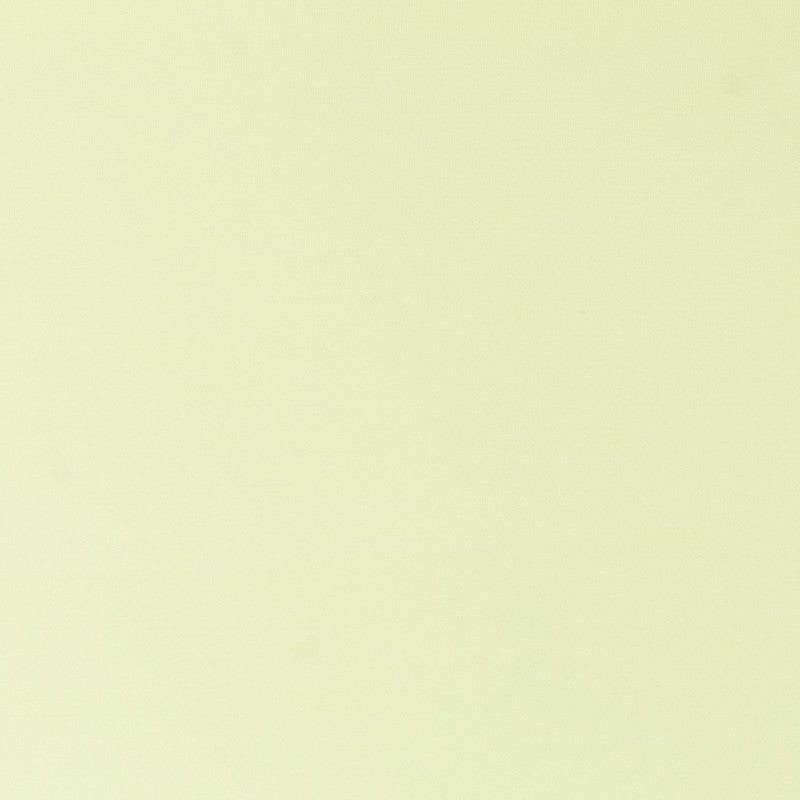 Punto Lycra Poliester Pistacho - Ribes y Casals