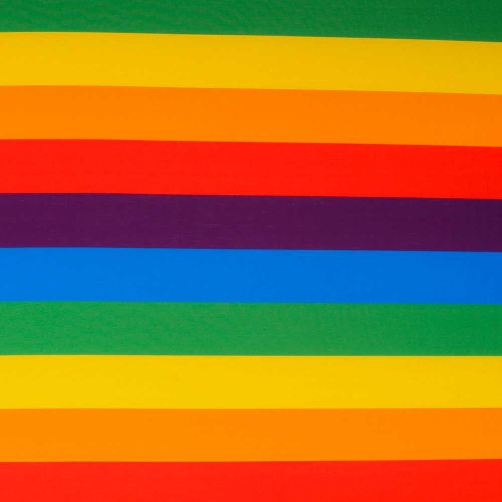 Punto Poliéster Orgullo Vertical Multicolor - Ribes y Casals