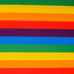 Punto Poliéster Orgullo Vertical Multicolor - Ribes y Casals