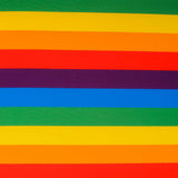 Punto Poliéster Orgullo Vertical Multicolor - Ribes y Casals