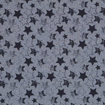 Punto Sudadera Stars Azul - Ribes y Casals