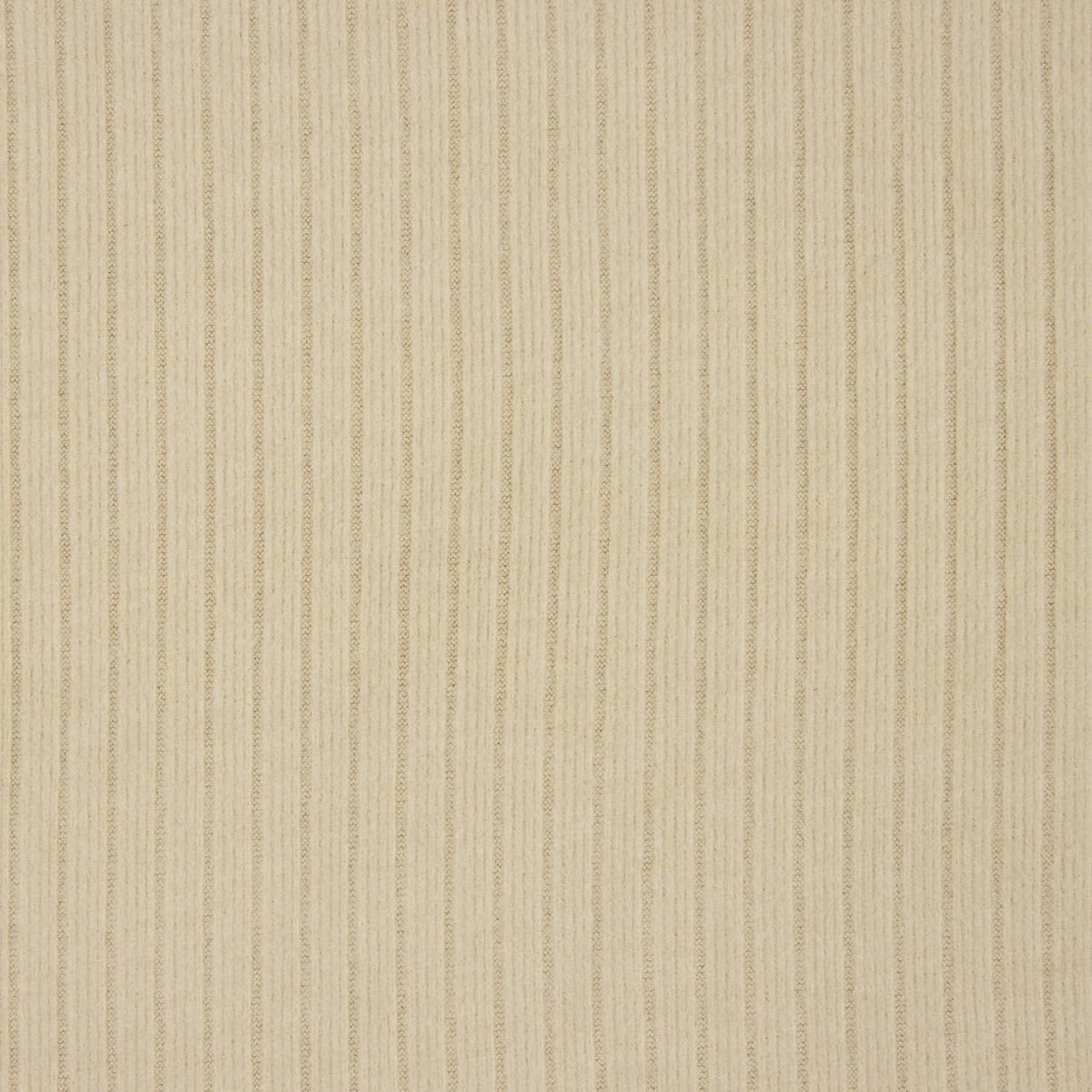 Punto Canalé Perchado Efecto Pana Beige - Ribes y Casals