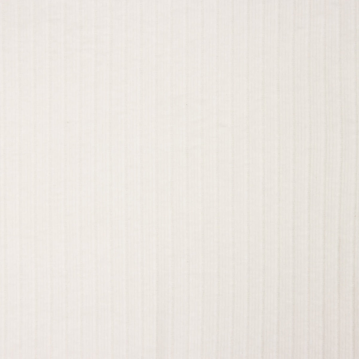 Punto Canalé Perchado Efecto Pana Blanco - Ribes y Casals